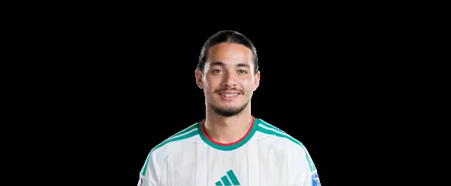 	Anis Hadj Moussa 	